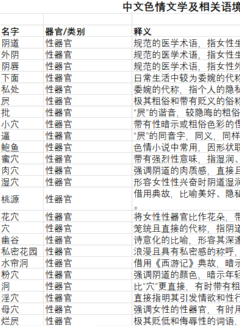 中文色情文学及相关语境词汇总表(包括少量日文舶来词)